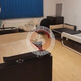 Policlinica Rahova | Ap 2 camere | decomandat | 51mp | B11249